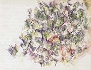 Paul Cezanne Foliage oil